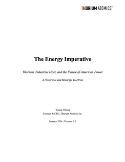 The Energy Imperative PDF cover